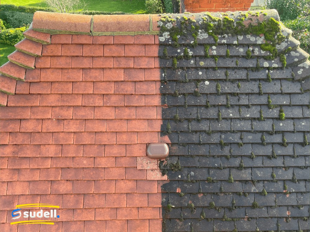 Moss removal from slate roof